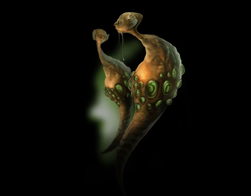  Intincogamphelus by Norke