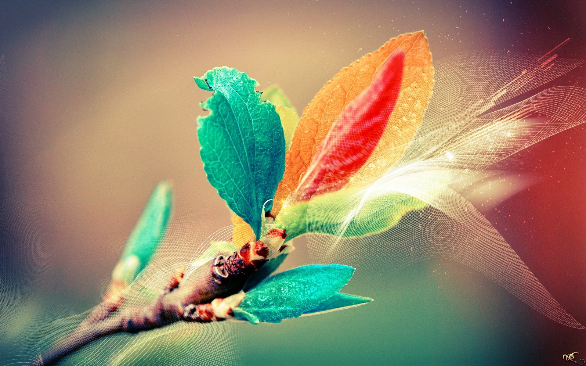 Download Branch Nature Leaf Macro Plant Art