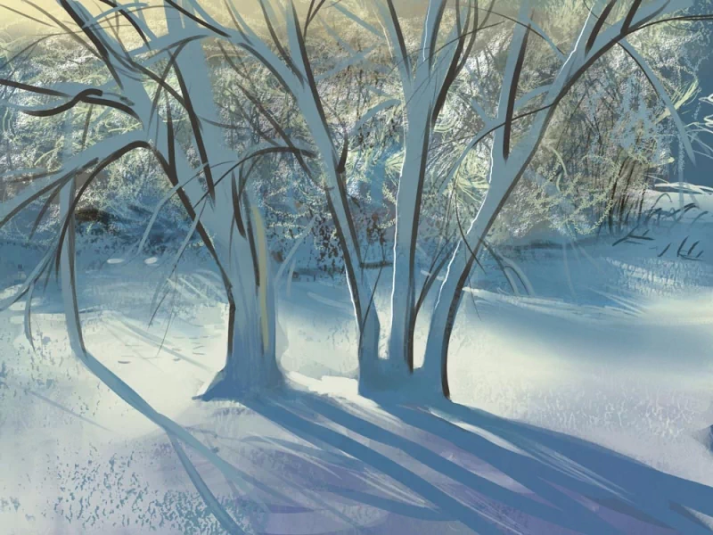 Sunlight casts long shadows of leafless trees on snow-covered ground in a serene winter nature scene.