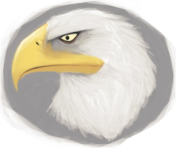 Download Animal Eagle Art