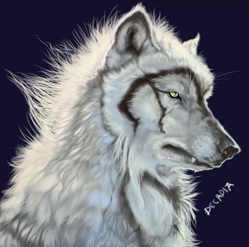 A detailed illustration of a wolf's head, showcasing its piercing eyes and thick, white fur against a dark background. The wolf exudes a sense of strength and intensity.
