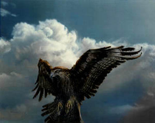 Welkin Hawk by Rob Alexander