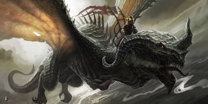 wyvern dragon rider fantasy dragon Image