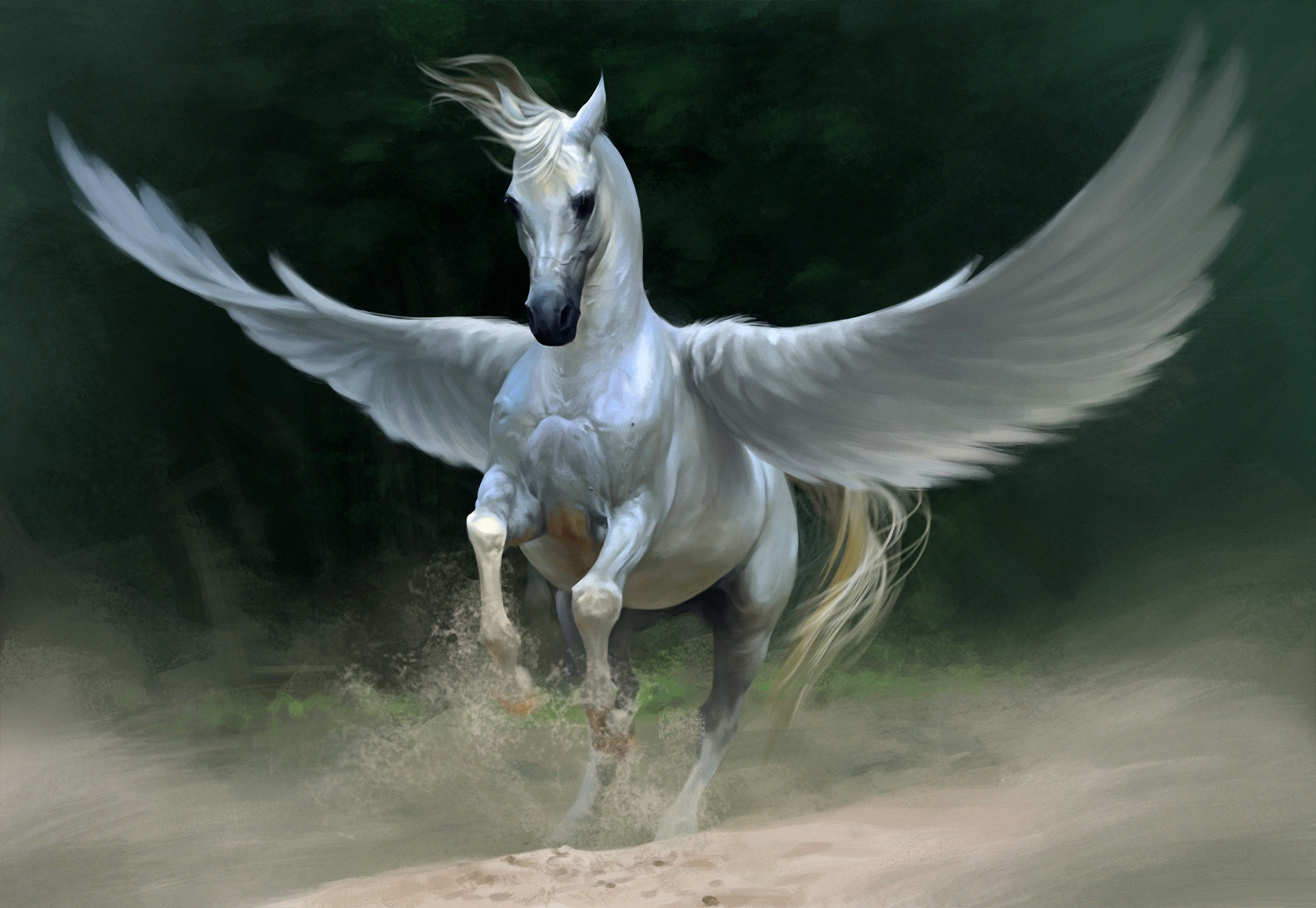 Pegasus Stallion