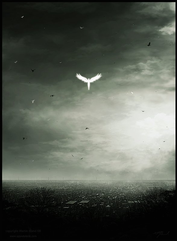 Download Fantasy Angel Art