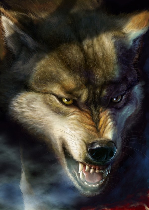 Wolf Art - ID: 52584