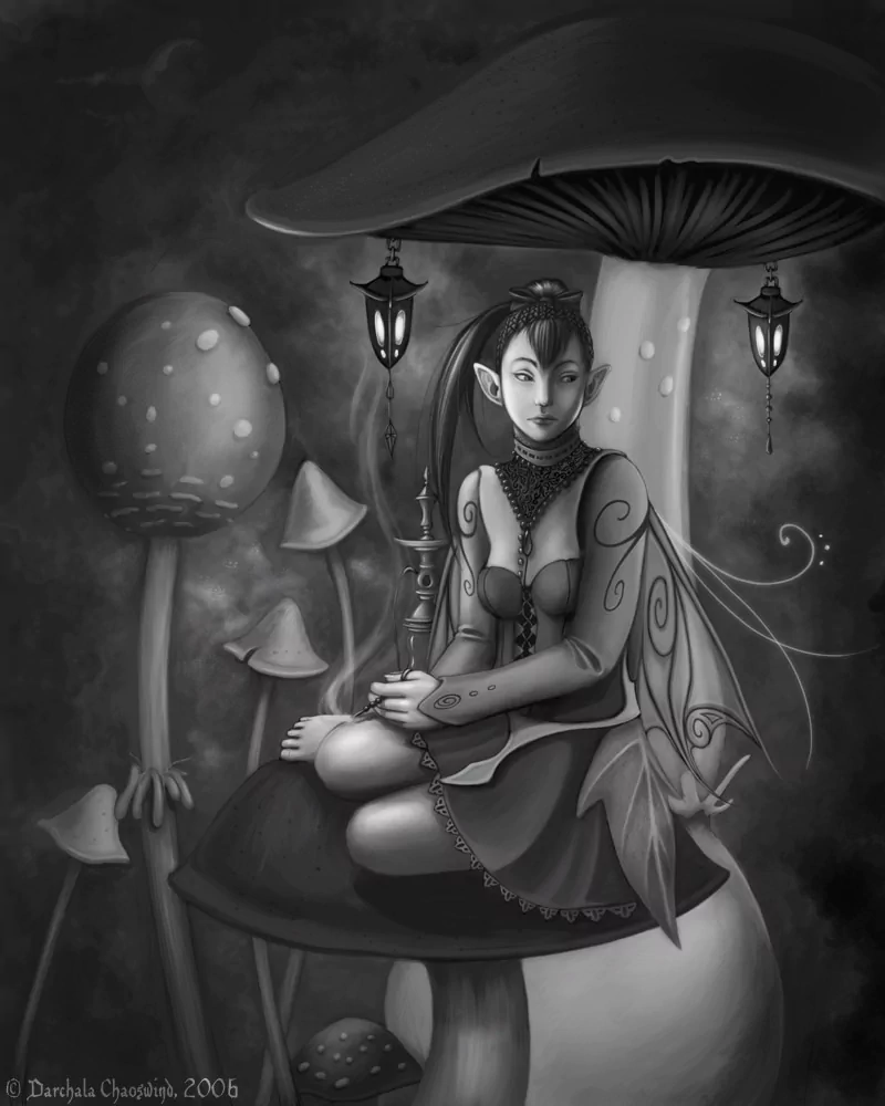  Miri's Toadstools by Darchala