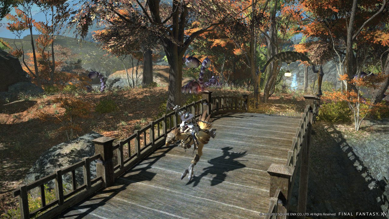 Final Fantasy XIV: A Realm Reborn - Chocobo Riding