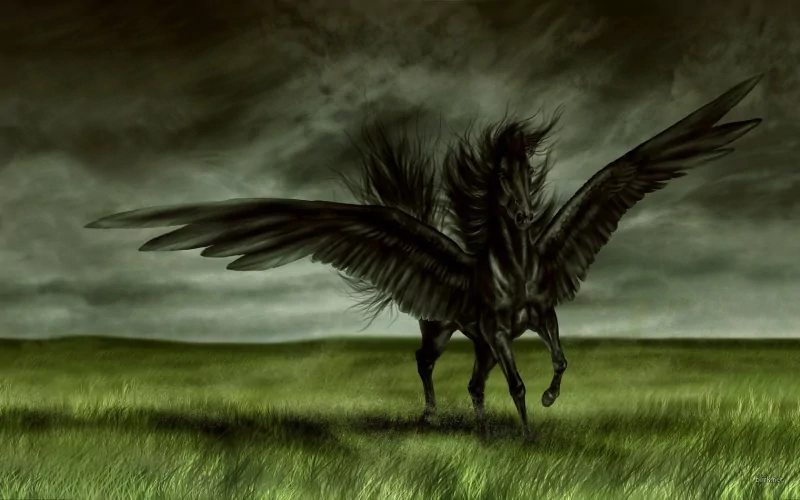 fantasy pegasus Image