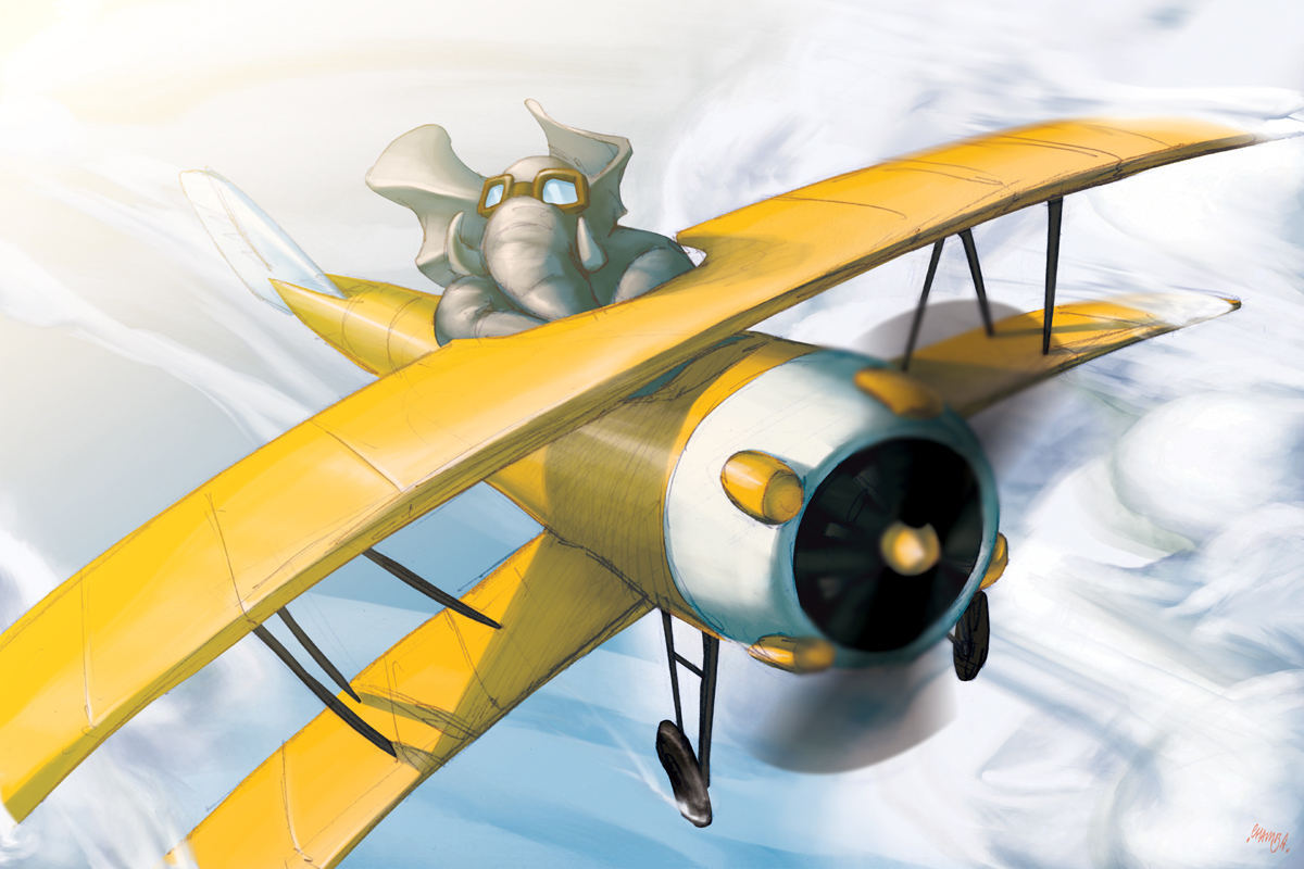 EleFlight  by chamba