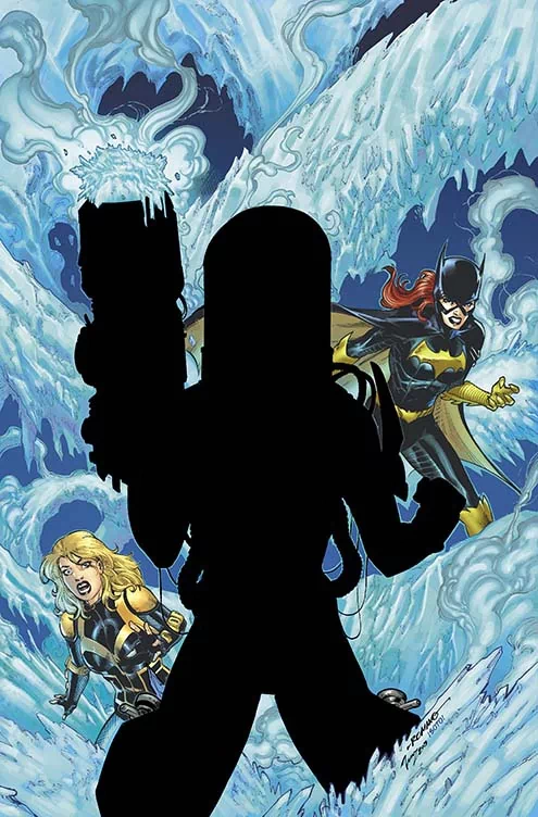 Comic Birds Of Prey Image