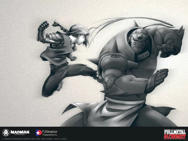  Fullmetal Alchemist