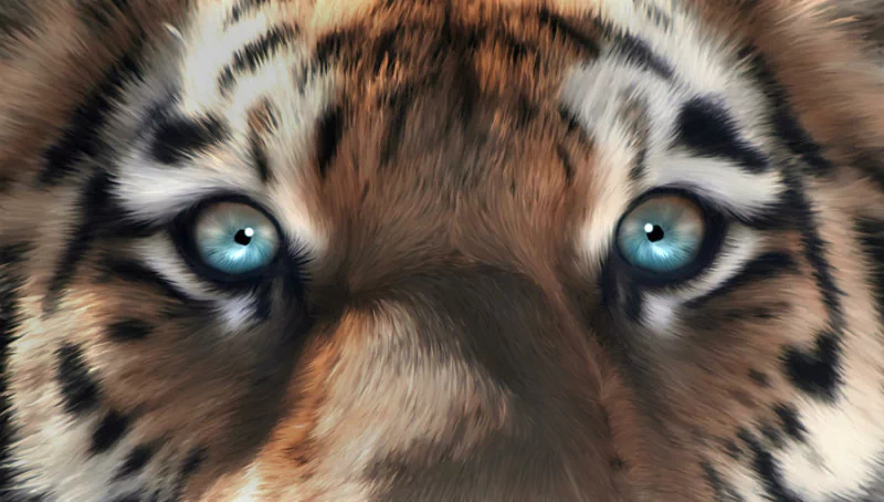  tiger eyes by julie l hoddinott