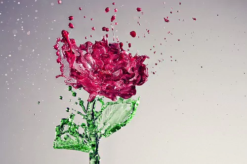 An artistic depiction of a rose surrounded by splashes of water, capturing the beauty and fluidity of the flower in vibrant pink and green tones.