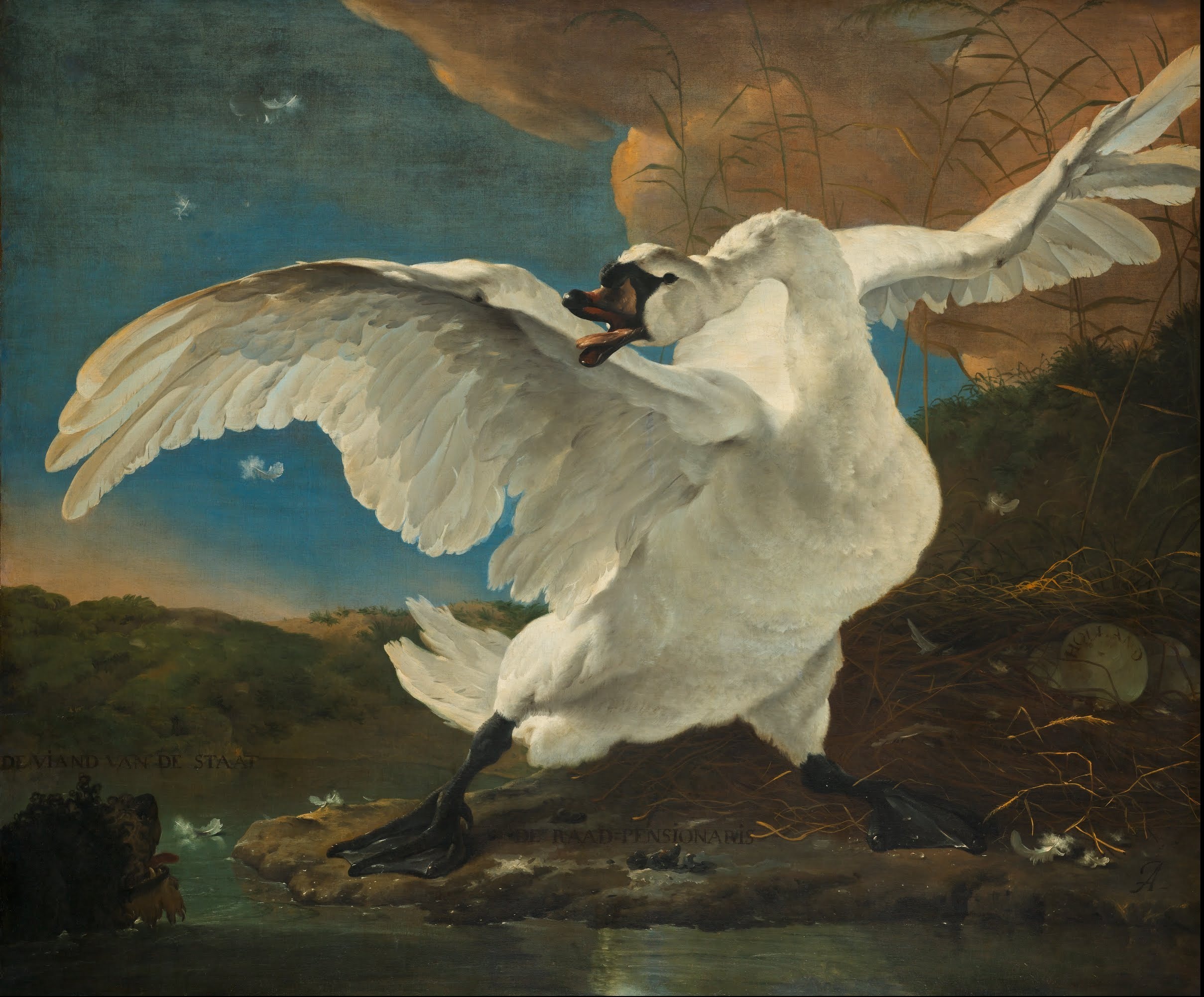 Swan Art