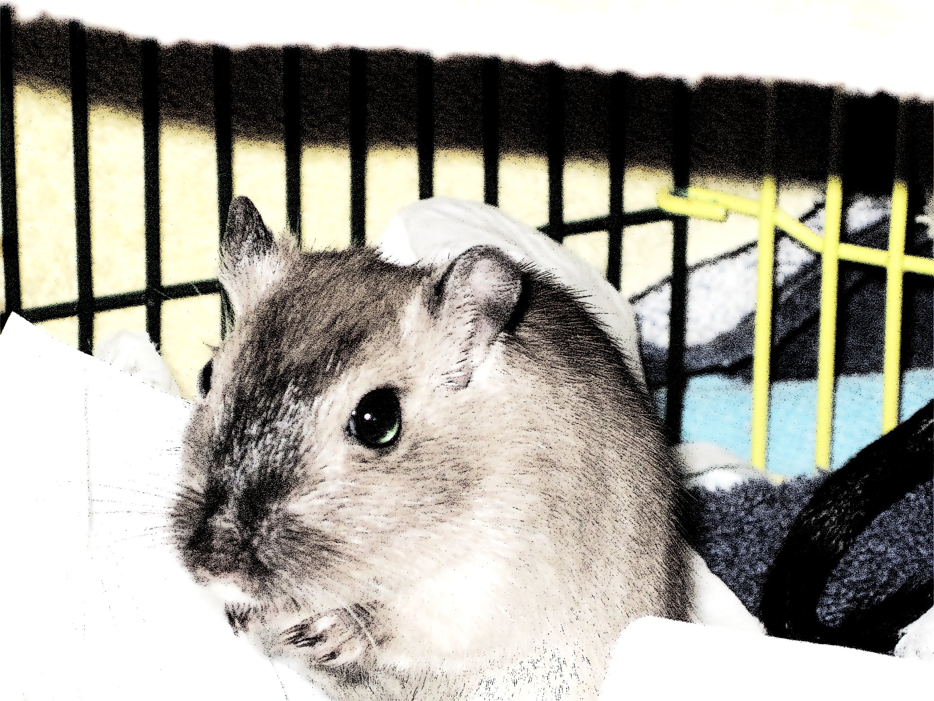 Insecurity by LaraCroft