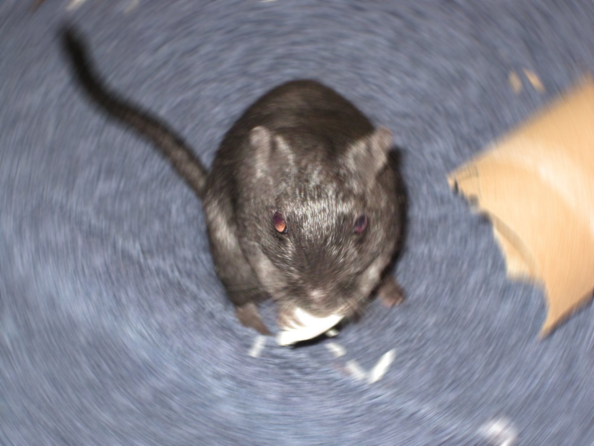 Motion Sickness by LaraCroft