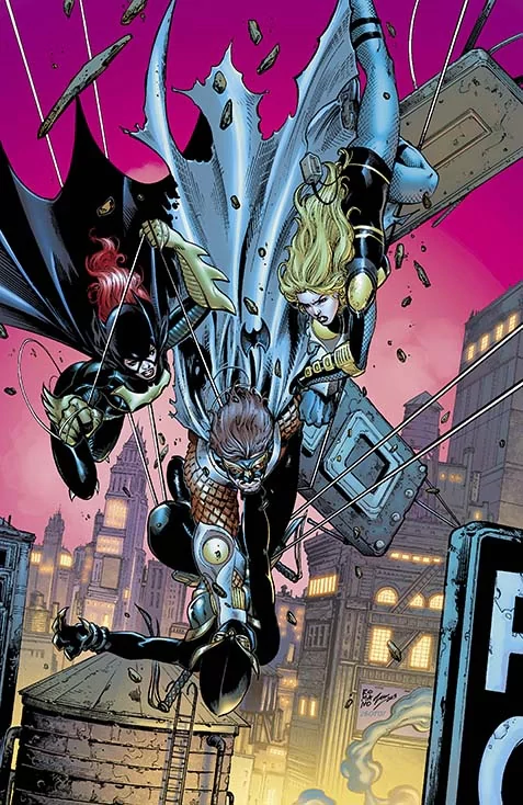 Comic Birds Of Prey Image
