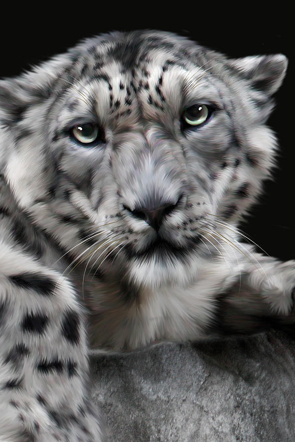 Hercules by Big Cat Rescue