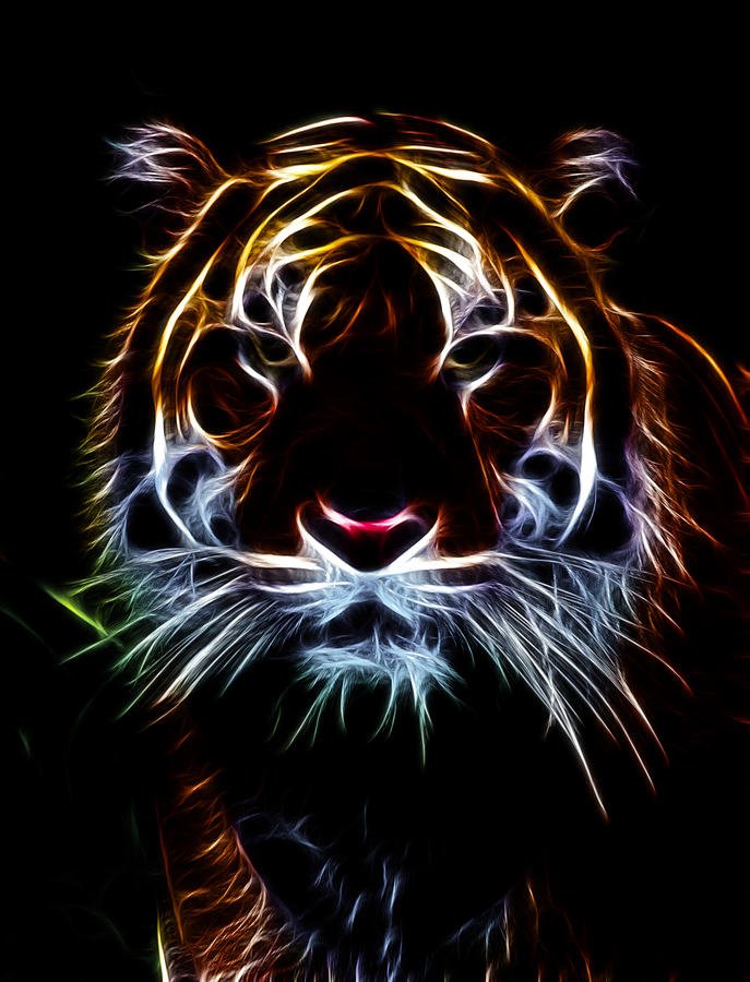 Mystic Tiger Art - ID: 57161 - Art Abyss