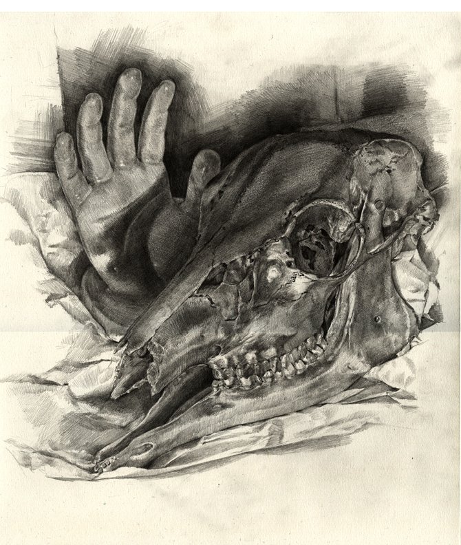 A dark, detailed illustration of a skull lies beside a hand, showcasing intricate textures and shadows, evoking a haunting yet artistic atmosphere.