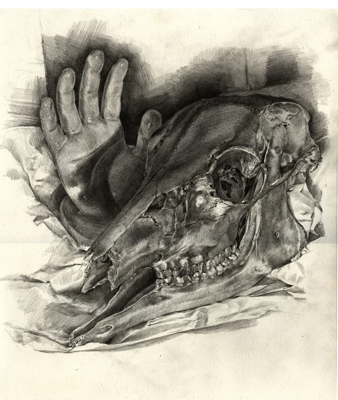 A dark, detailed illustration of a skull lies beside a hand, showcasing intricate textures and shadows, evoking a haunting yet artistic atmosphere.