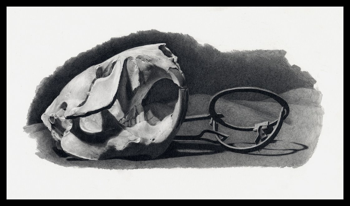 Download Dark Skull Trap Animal Bones Art