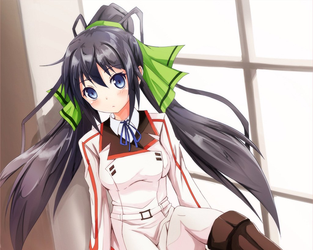 Download Anime Infinite Stratos Art