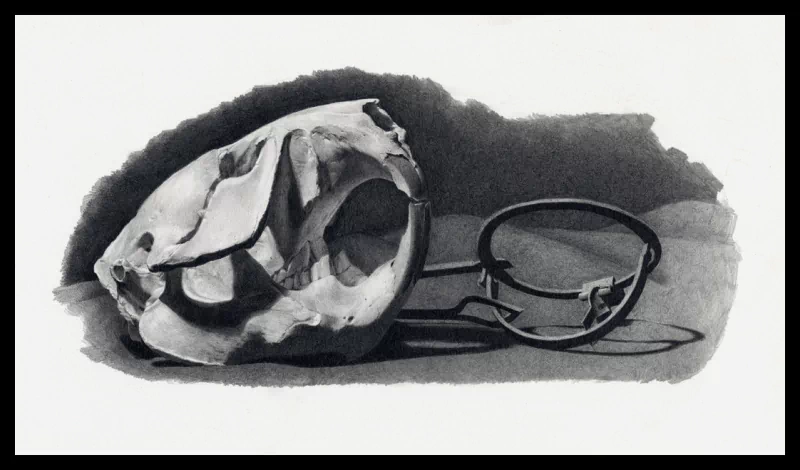  The Beaver Trap by kremz