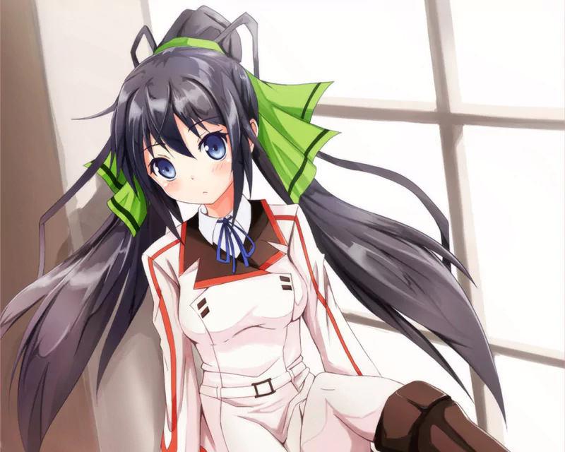 Anime Infinite Stratos Image
