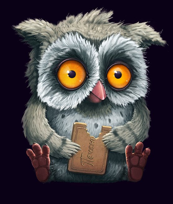 Animal Owl Art