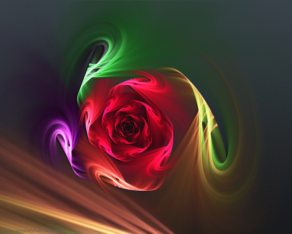 Abstract rose by KICMAC