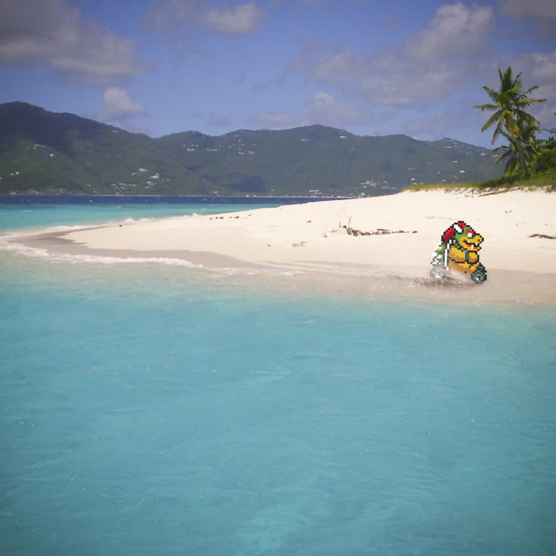 video game Mario Kart beach ocean palm tree Image