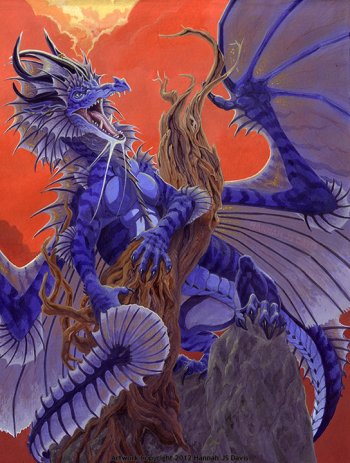 Sub-Gallery ID: 1407 Dragons