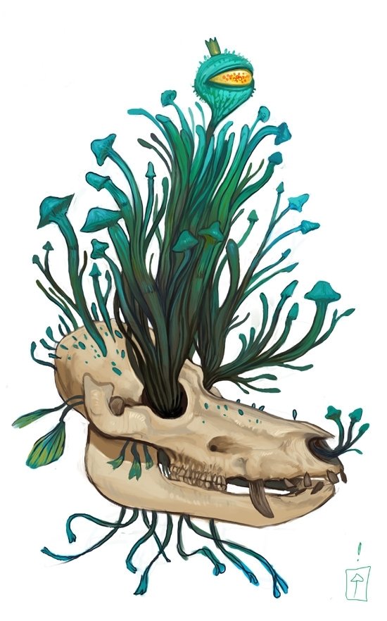 Download Sci Fi Alien Skull Plant Mushroom Art
