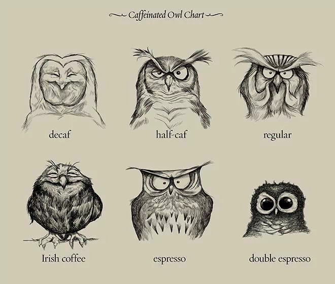 A humorous coffee-themed owl chart illustrating different coffee types with expressive owl drawings labeled decaf, half-caf, regular, Irish coffee, espresso, and double espresso.