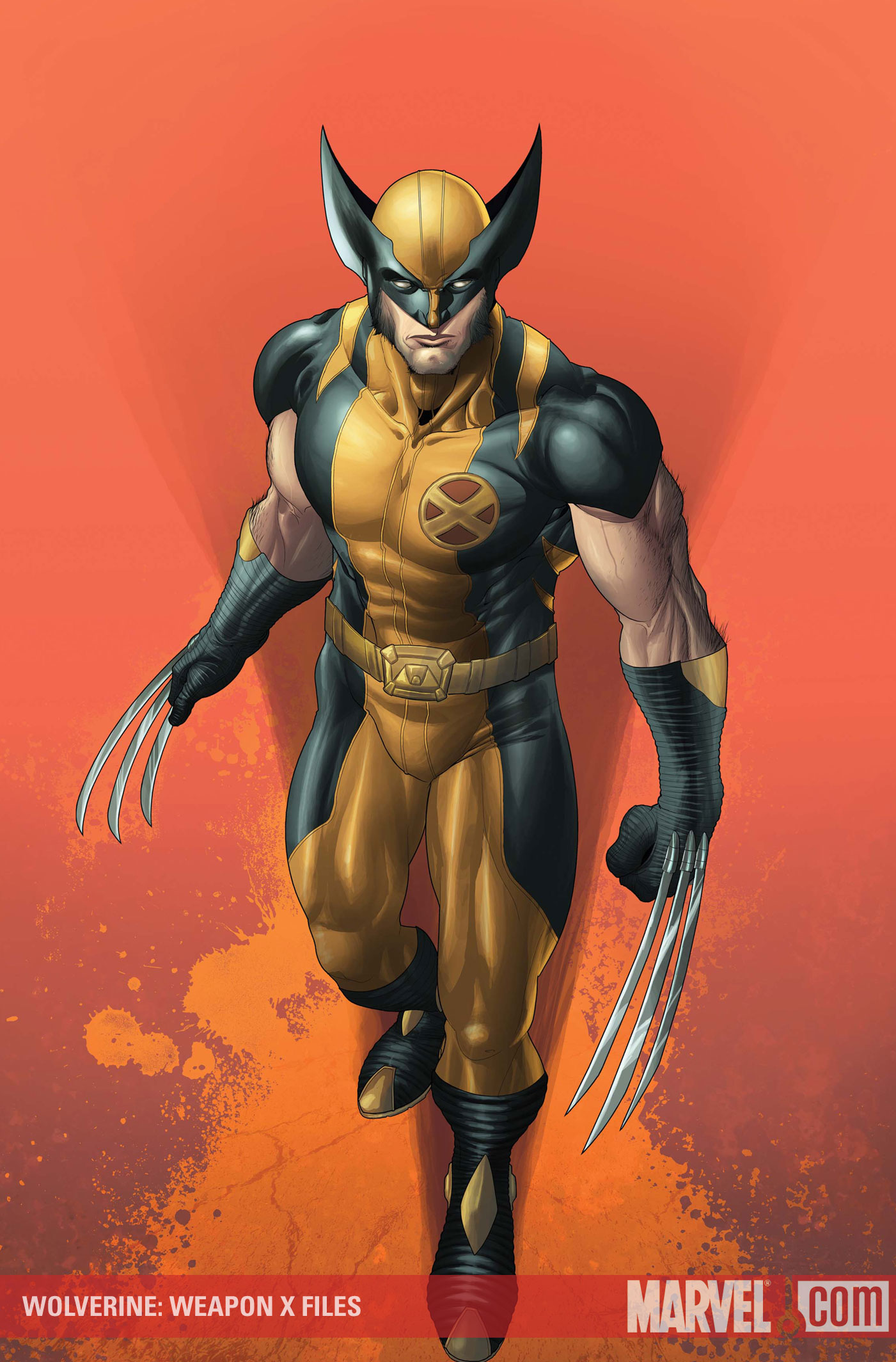 Wolverine: Weapon X Art