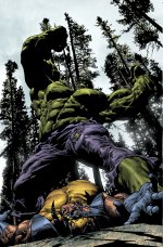 Preview Hulk Vs Wolverine
