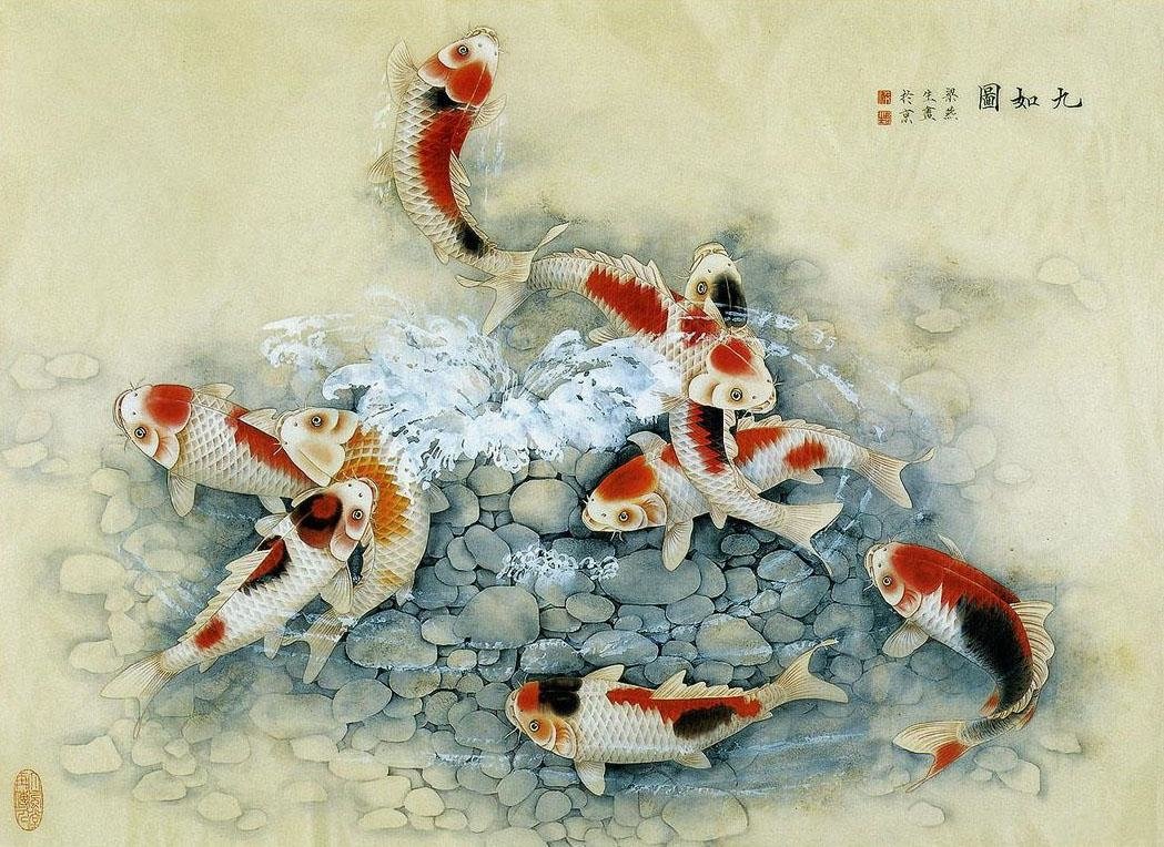Download Animal Koi Art