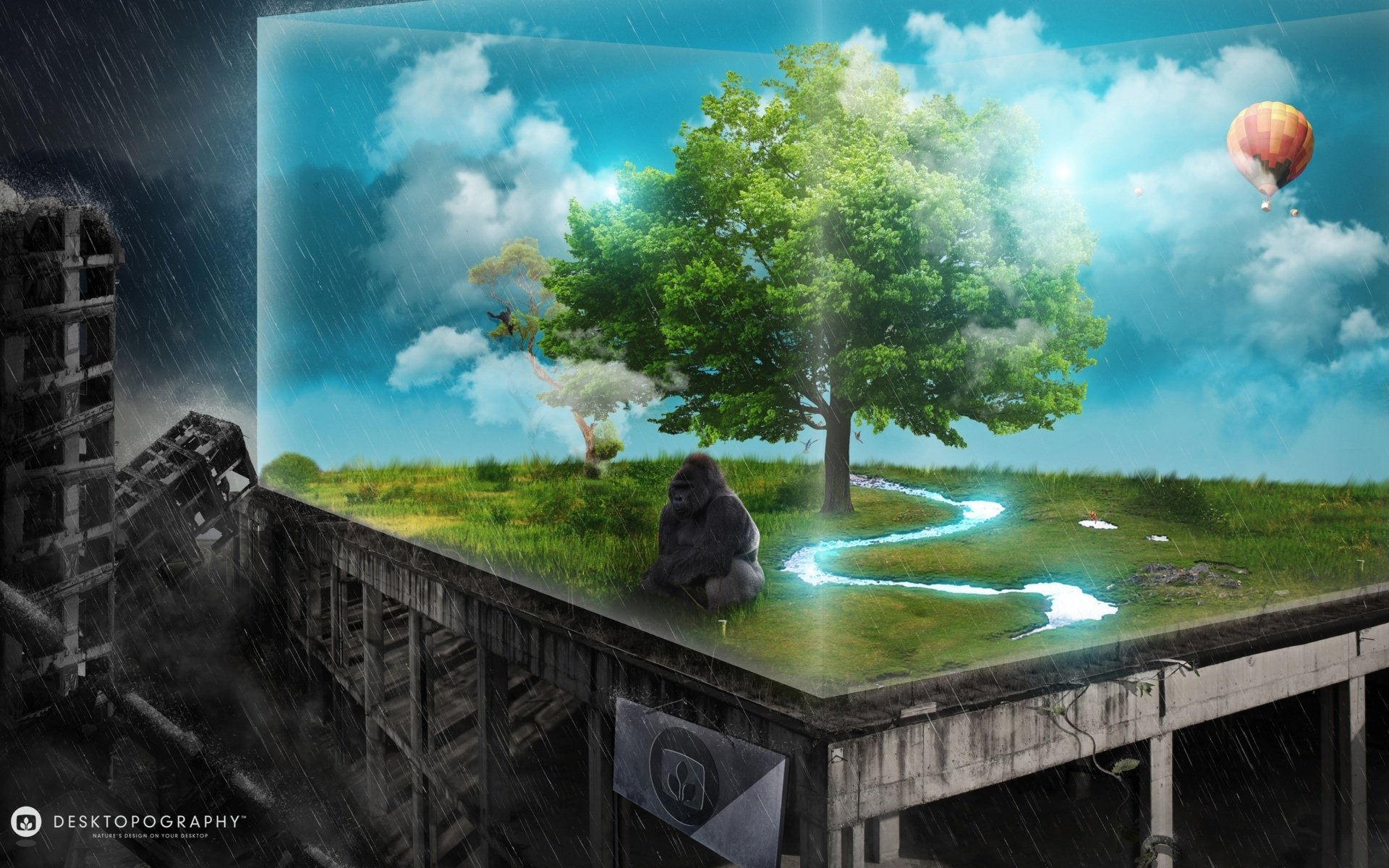 Download Animal Gorilla Art