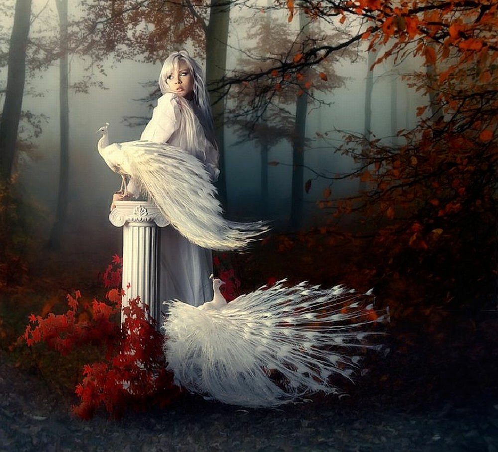 A white-clad woman stands beside a column in a misty forest, surrounded by vibrant fall foliage and elegant white peacocks, creating a serene and enchanting atmosphere.