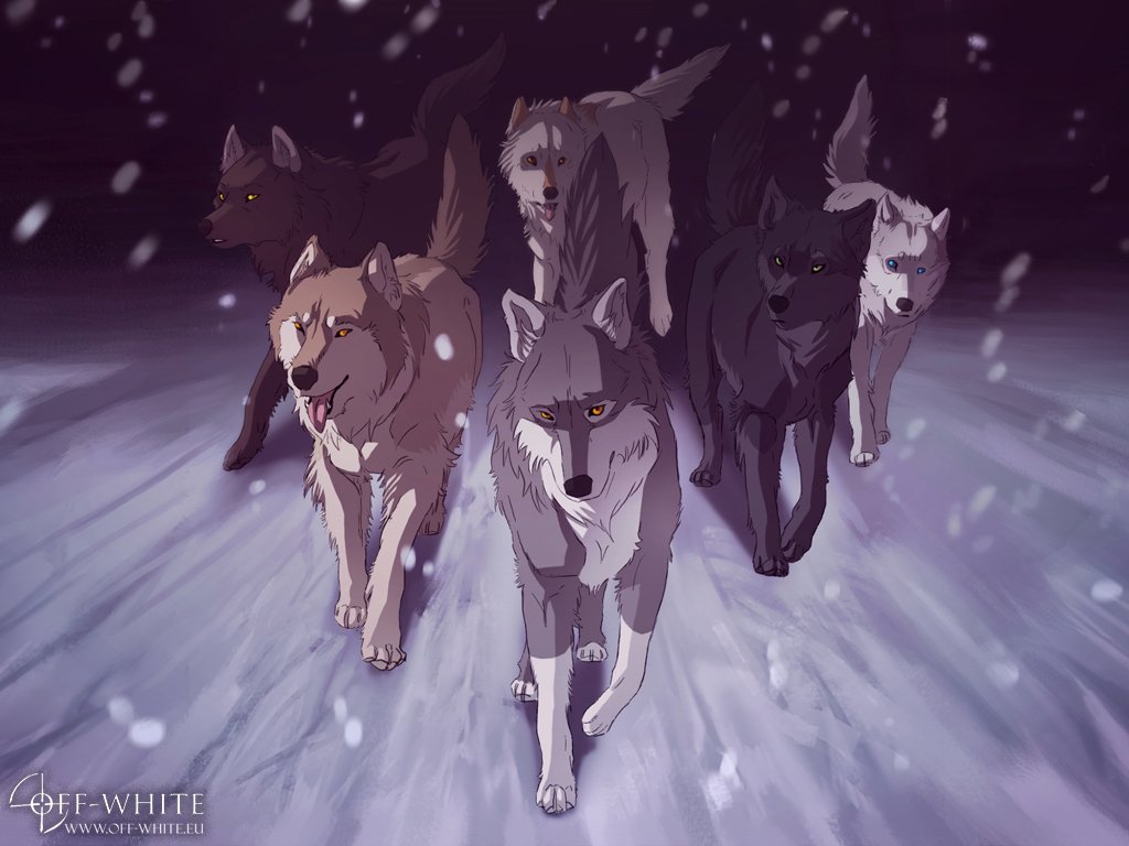A group of wolves running through a snowy landscape, depicted in the anime style of Wolf's Rain.