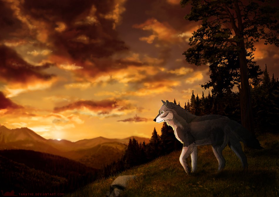 Download Fantasy Wolf Art