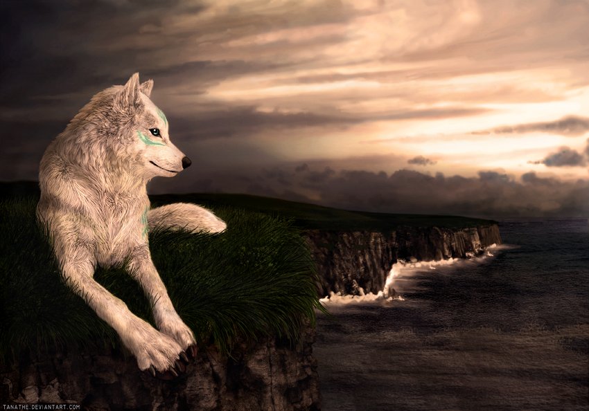 Download Fantasy Wolf Art