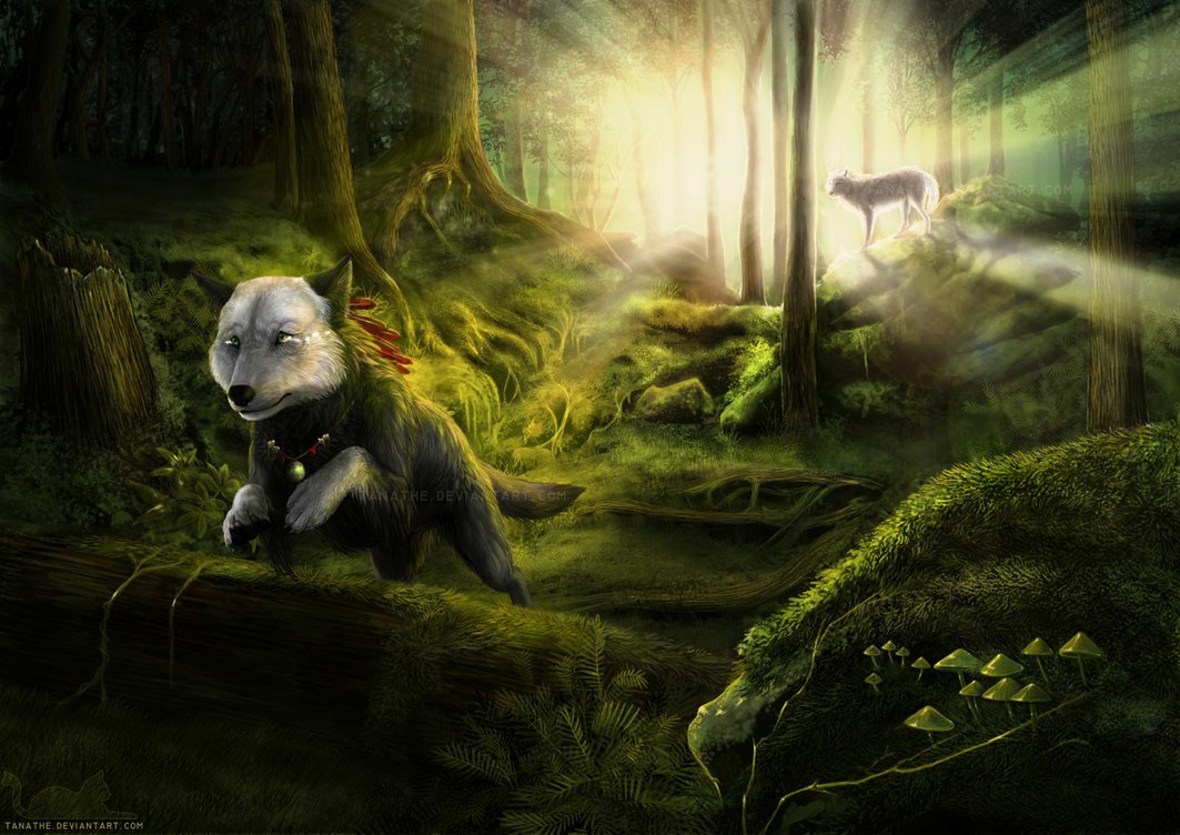 A fantasy forest scene featuring a mystical wolf with glowing eyes in the foreground and another wolf silhouetted in the sunlit background.