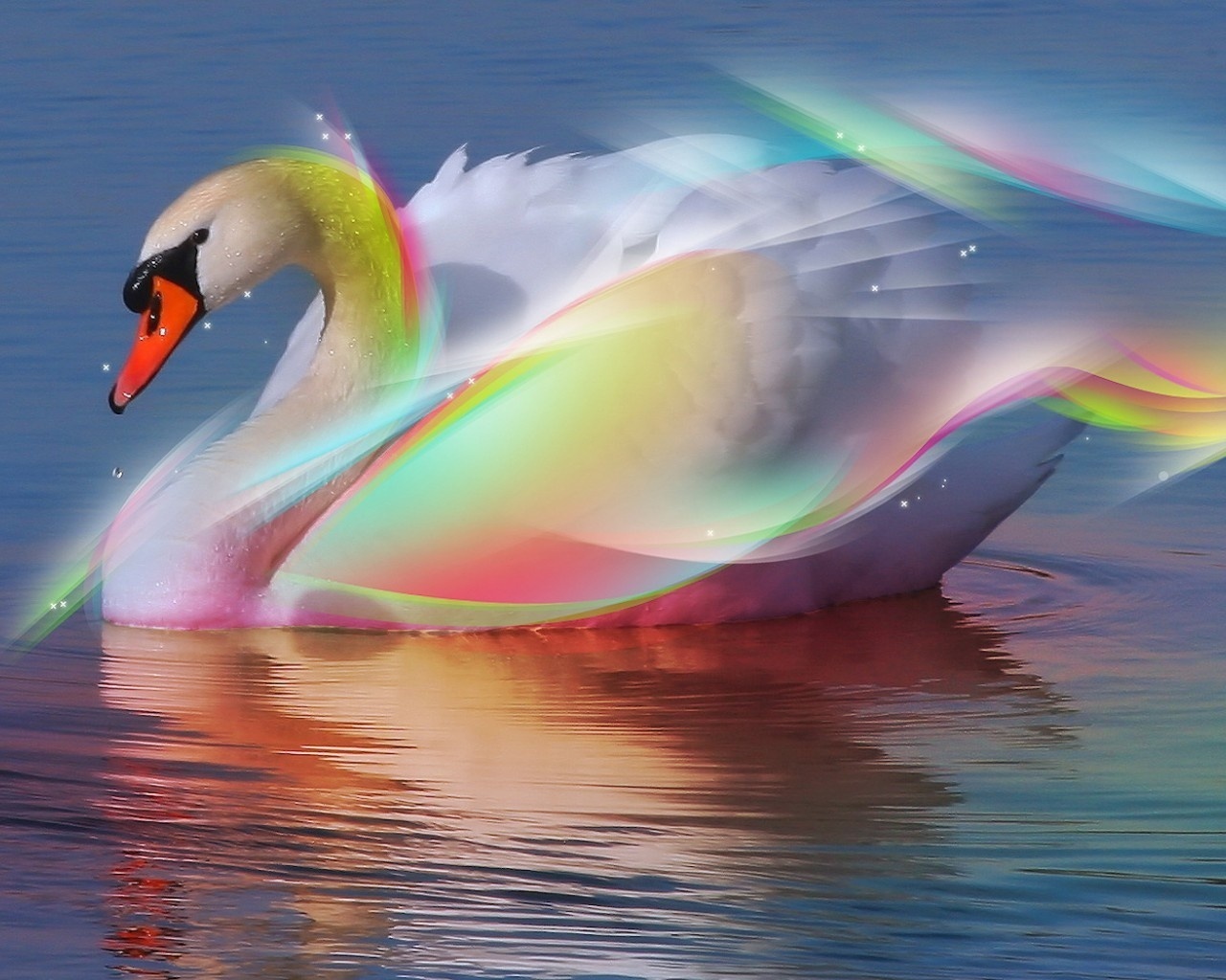 swan lake gorgeous