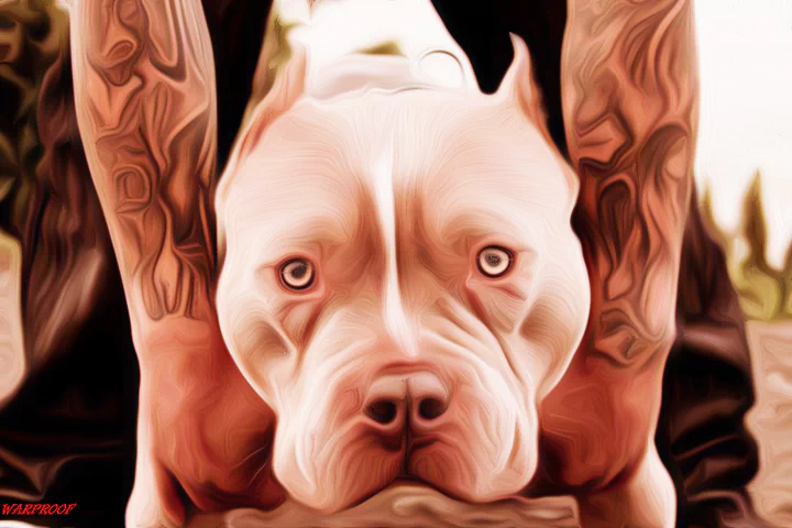 A close-up of a dog lying on the ground, showcasing its expressive eyes and distinctive features, with human hands and tattoos visible in the background.