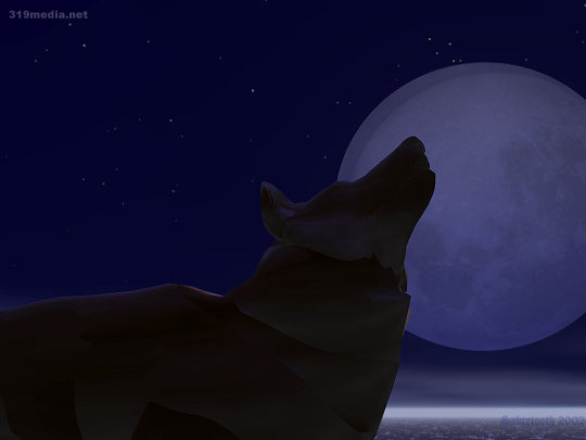 Midnight Howl by 319media