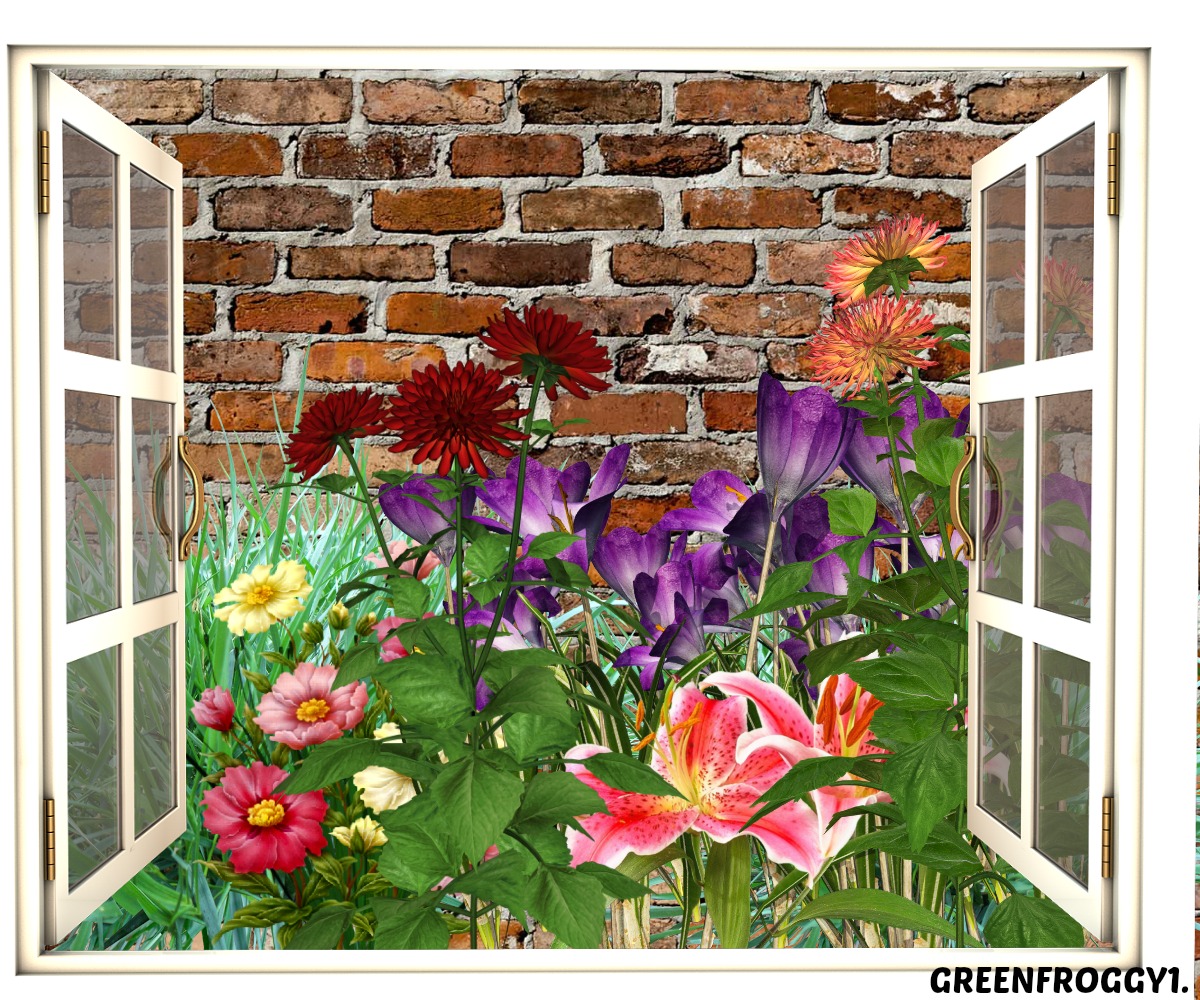 GARDEN OUTSIDE Art - ID: 63552