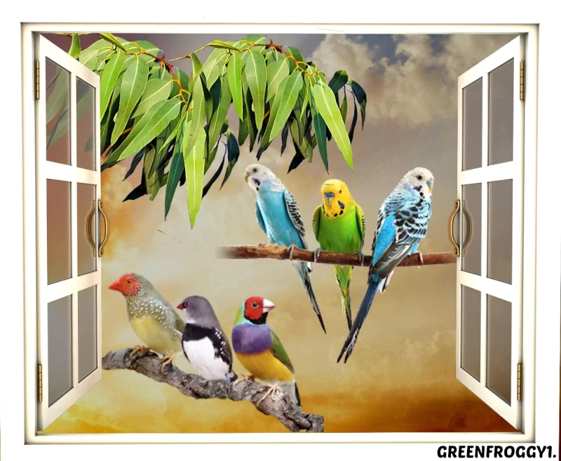 Artistic artwork depicting colorful birds perched on branches viewed through an open window against a cloudy sky backdrop.
